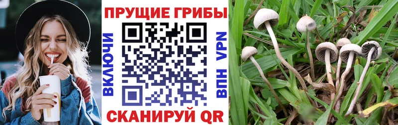 наркошоп  Нефтеюганск  Галлюциногенные грибы мухоморы 